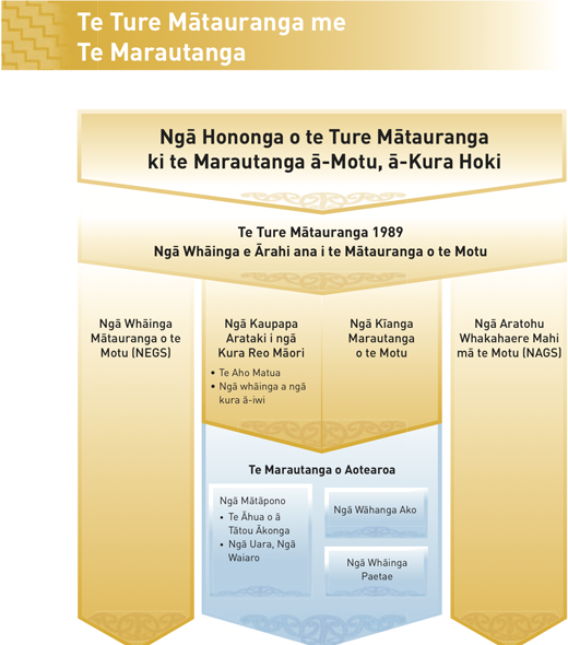 Te Ture Mātauranga me Te Marautanga diagram.