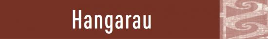 Hangarau Graphic