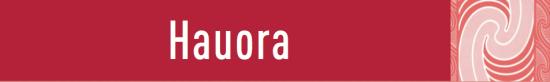 Hauora Graphic