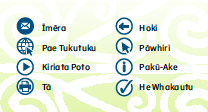 Ngā tohu pāhekoheko