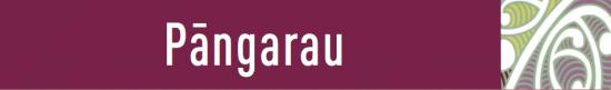 Pāngarau Graphic
