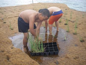 Tamariki gardening.
