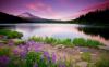 Test_Image1