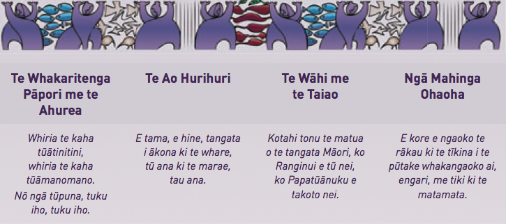 Tikanga ā-Iwi Graphic
